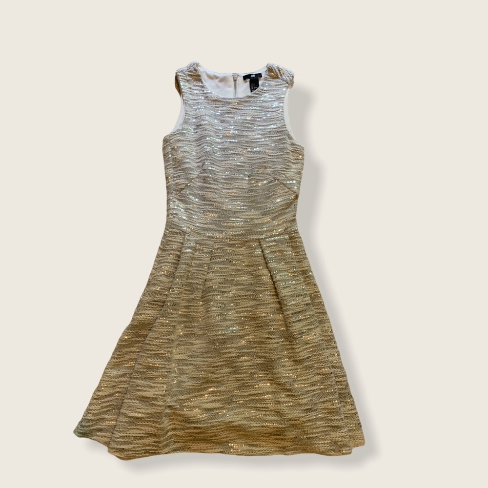 H&M Sequins Dress